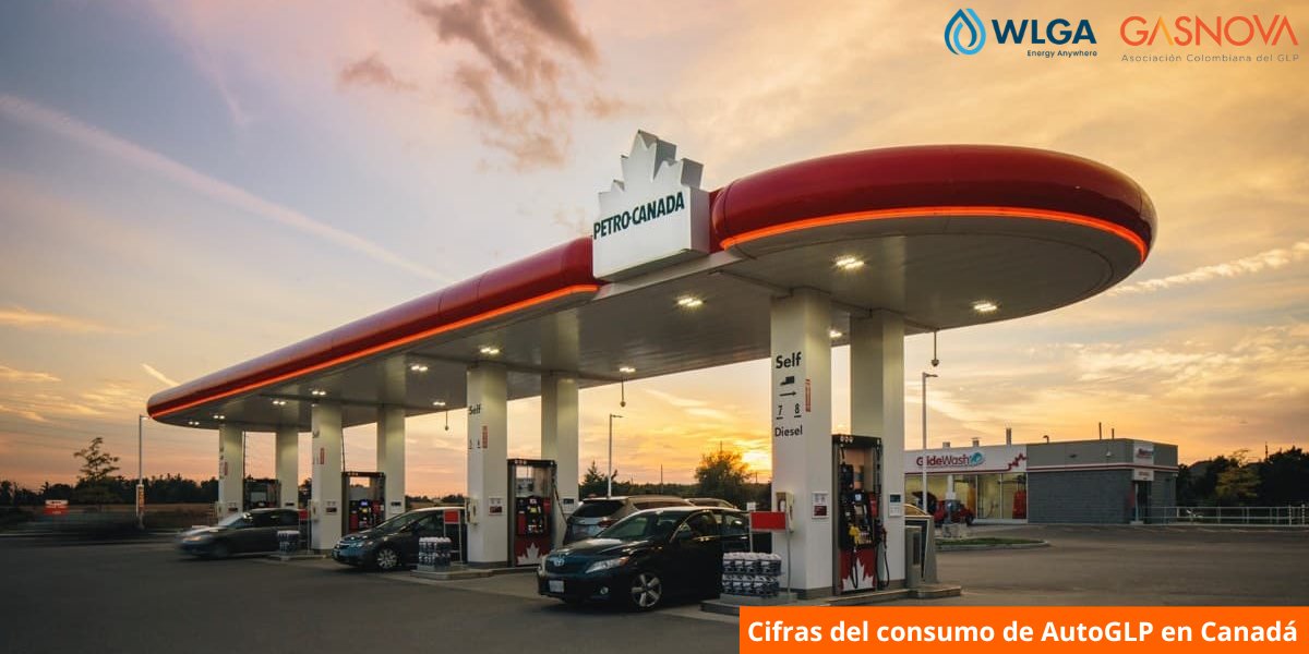 GasnovaCo tweet picture