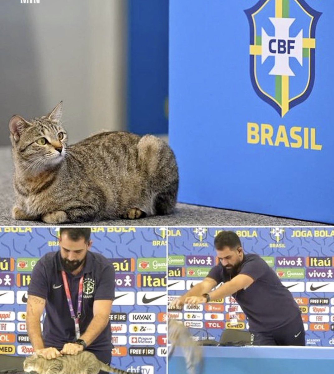 nderakoreami_'s tweet photo. El declive de Brasil empezó acá https://t.co/lPo8TWQXkl