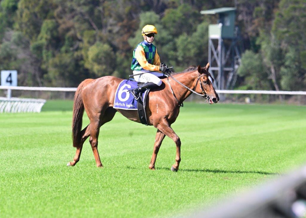tonygollan's tweet photo. 💥TRACKSIDE WINNER OF THE WEEK 💥
Our #WinnerOfTheWeek presented by Trackside Photography is Balance The Books.
4yo mare Balance The Books (Capitalist x Shuwaamekh) won the BM80 Hcp 1200m at the Sunshine Coast on Saturday ridden by Ben Thompson & strapped by Taylor Ratten. https://t.co/TuM758Ku4k