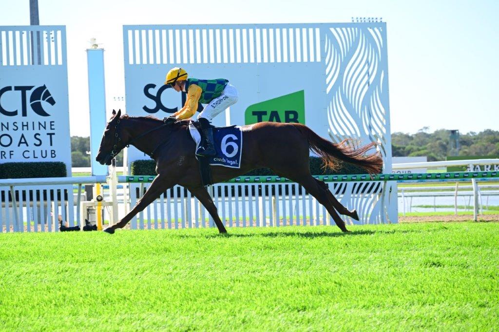 tonygollan's tweet photo. 💥TRACKSIDE WINNER OF THE WEEK 💥
Our #WinnerOfTheWeek presented by Trackside Photography is Balance The Books.
4yo mare Balance The Books (Capitalist x Shuwaamekh) won the BM80 Hcp 1200m at the Sunshine Coast on Saturday ridden by Ben Thompson & strapped by Taylor Ratten. https://t.co/TuM758Ku4k