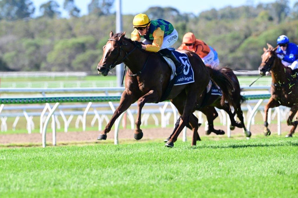 tonygollan's tweet photo. 💥TRACKSIDE WINNER OF THE WEEK 💥
Our #WinnerOfTheWeek presented by Trackside Photography is Balance The Books.
4yo mare Balance The Books (Capitalist x Shuwaamekh) won the BM80 Hcp 1200m at the Sunshine Coast on Saturday ridden by Ben Thompson & strapped by Taylor Ratten. https://t.co/TuM758Ku4k