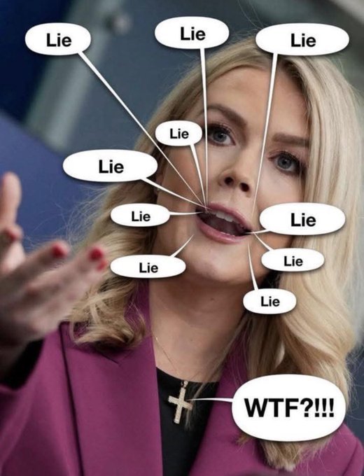 Abigail_M2050's tweet photo. Karoline Leavitt Has Returned From Maternity Leave. 

What is the first word that comes to mind when you see Karoline Leavitt? 👇 https://t.co/a0EkaWqYZL