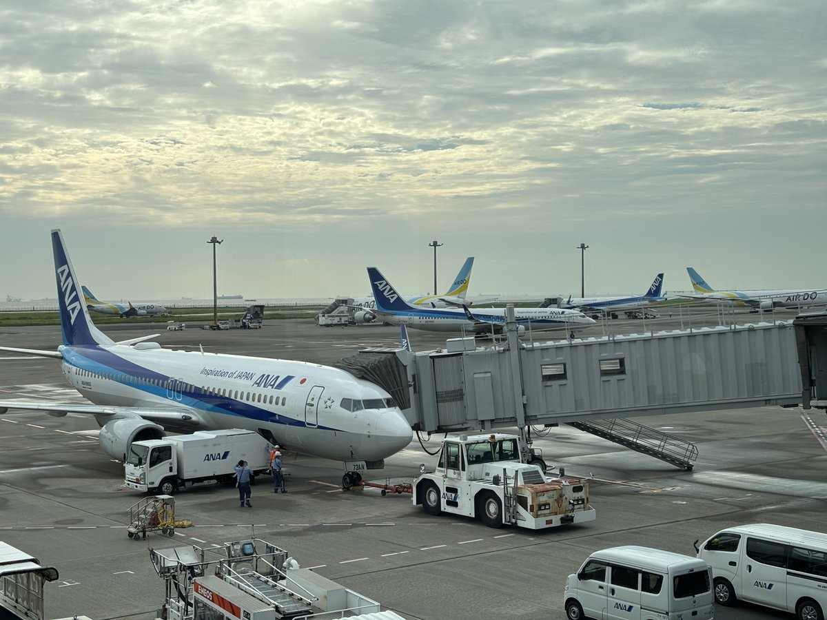 369halfmoonst's tweet photo. 羽田空港にゃう。岡山空港視界不良で着陸できない場合、伊丹にダイバートの可能性もあるとか💦
✈︎✈︎✈︎ https://t.co/qsQYmVSaSN