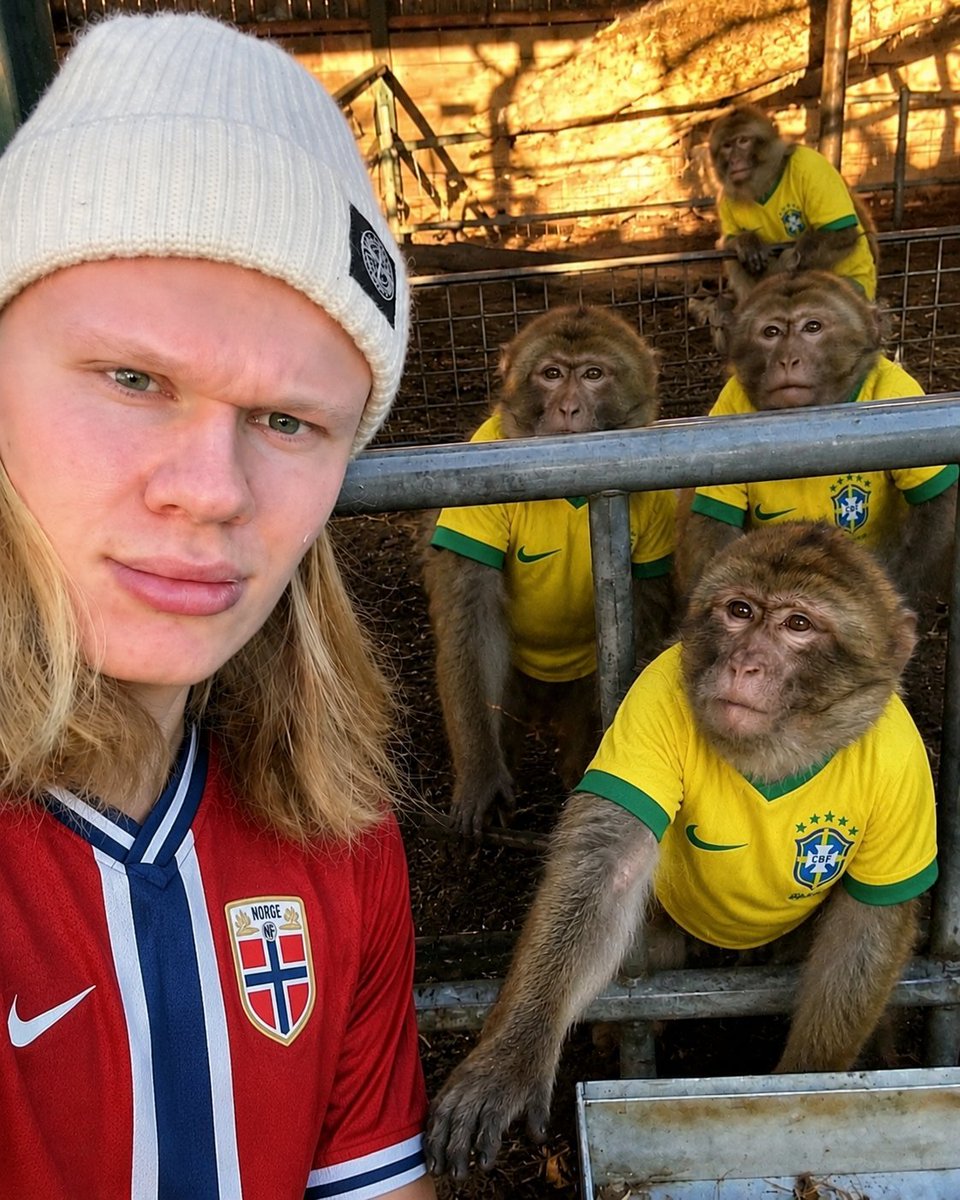 Paralyticss's tweet photo. VIKINGOS COGIERON MONOS A PELO 🧔🏼‍♀️🍆🐒
AHORA SON VIHKINGOS 🦠🦠

→ VINICIUS ROMPIÓ SU PROPIA REGLA Y SE TAPÓ LA BOCA ➡️ CON LA PIJA DE HAALAND 🙊🤤
→ Noruega hizo el remo vikingo 🗡️🚣🏻‍♂️, Brasil hizo el remo no 🙈🇧🇷
→ Monicius: EU FAREI X10, NO ESTAN PREPARADOS ➡️ Toma Bruno patealo vos 😨🥶
→ La figura de Brasil 2026 : Me da ansiedad un penal 😭🟤 La figura de Brasil 2002: Que lindo penal añamemby ese lechón será mío 🎩🐷
→ 2021 MEMORIES 🔙: LOS QUE VINIERON DE LOS BARCOS SE COGIERON A LOS QUE VIENEN DE LA SELVA 🚢🏞️
→ LA REGLA DEL NEGRO CON PLATA 👤💸, se quejan del racismo pero siempre se terminan comiendo a la blanca europea 🫦🍼🇪🇺
→ LA SEXTA? ⭐🤔 NO, EL SEX-TAPE ‼️ TITULO:
RUBIA CON CINTURONGA SE COGE A NEGRO Y LO HACE SU ESCLAVO 🎞️⛓️

TRISTEZA NAO TEM FIN KKKKKKKKKK 😭😭😭😭