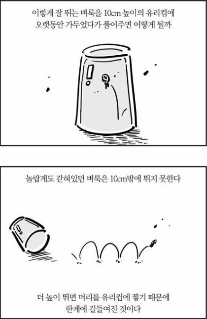 entworacy's tweet photo. 무엇보다 성인의 가장 큰 장점이자 무서운 점은,
내가 내일 유럽을 가고 싶다하면 유럽을 갈 수 있고
지구 반대편에서 워홀을 하고 싶다하면 당장이라도 출발할 수 있고,
공부를 한다면 공부를 할 수도 있는 무궁무진한 자율성에서 살아가는데,

우리의 삶을 우리 스스로 제한할 필요는 없다. 병속의 벼룩처럼.