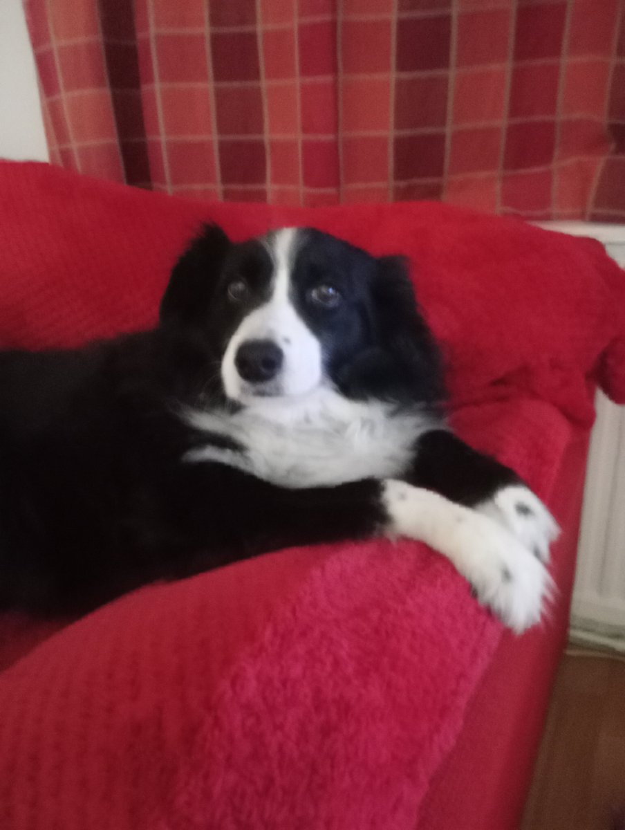 addy_nuff's tweet photo. @D_Fens_Ghost Lost Dave about 5 weeks ago.... https://t.co/BpjeEdcWyJ