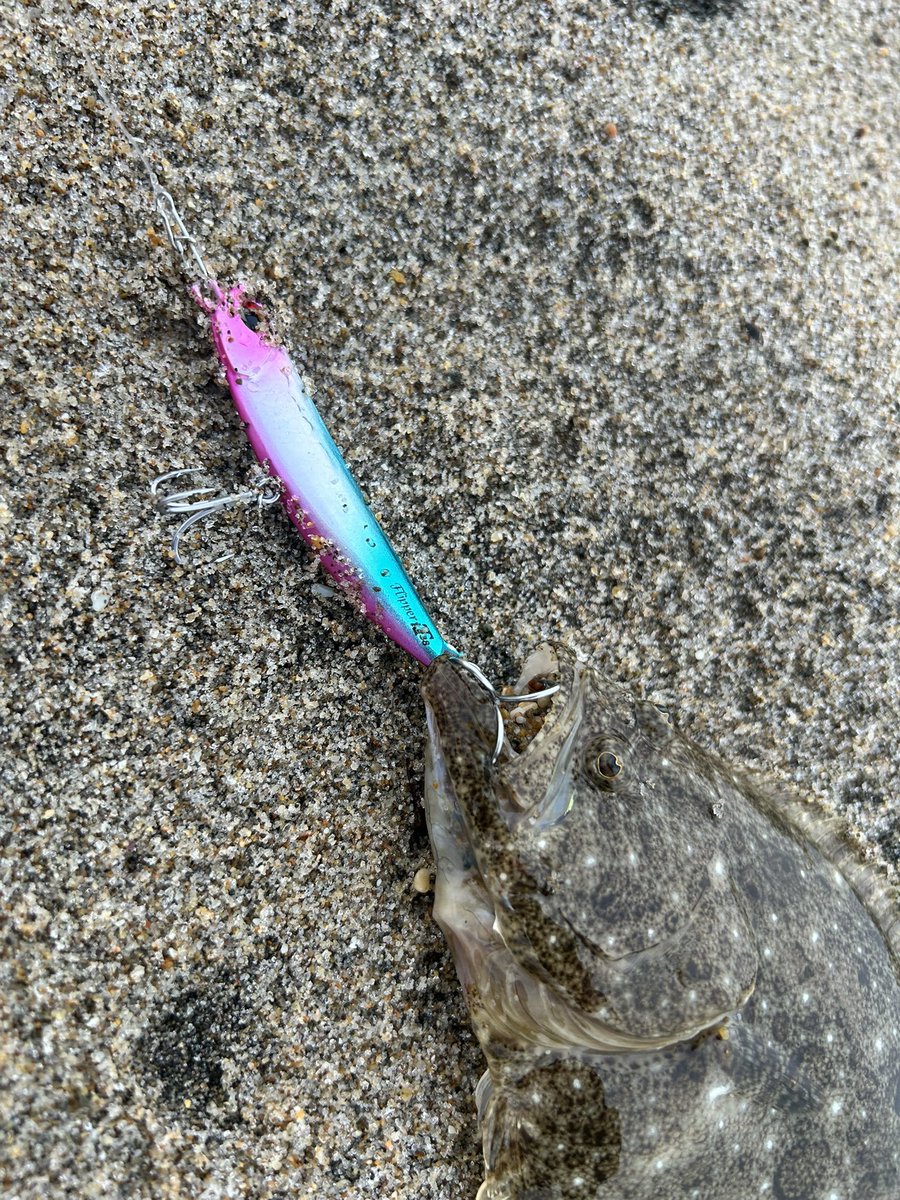 s_h_w_s_s's tweet photo. iT 〜🫶で今年もやったぜ〜‼️
#DUOInternational
#BeachWalker https://t.co/yP5pkDA9i5