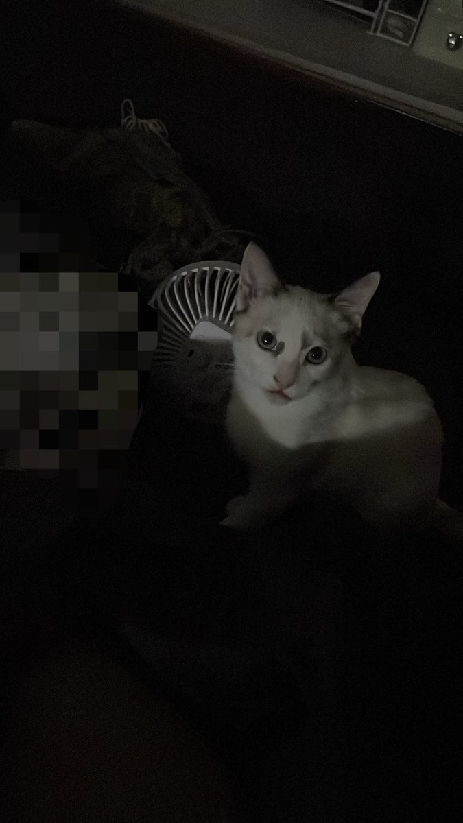 q_67hu's tweet photo. หน้าตาดื้อสุดๆเป็นเด็กที่ขี้วีนมาก https://t.co/5i0Ln2ebVG