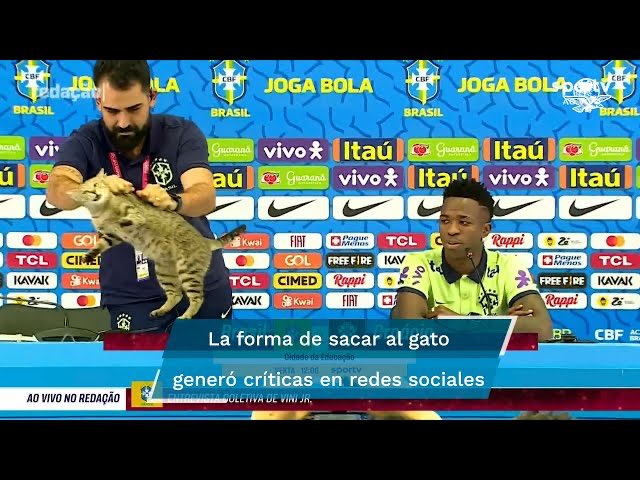 RaulHsv's tweet photo. #Brasil la maldición del gato en los mundiales. https://t.co/Bgu4Aa9VxJ