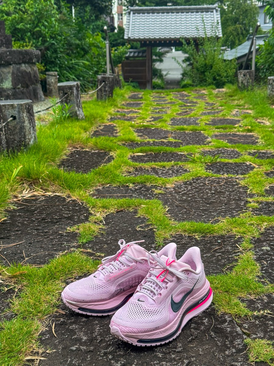 kenbox888's tweet photo. 私のペガサスプレミアムは, 毎週末の10kmを走る. https://t.co/lrGEQU0pz2