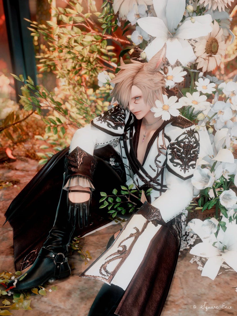 Noa (@NoaBranche) / Posts / X