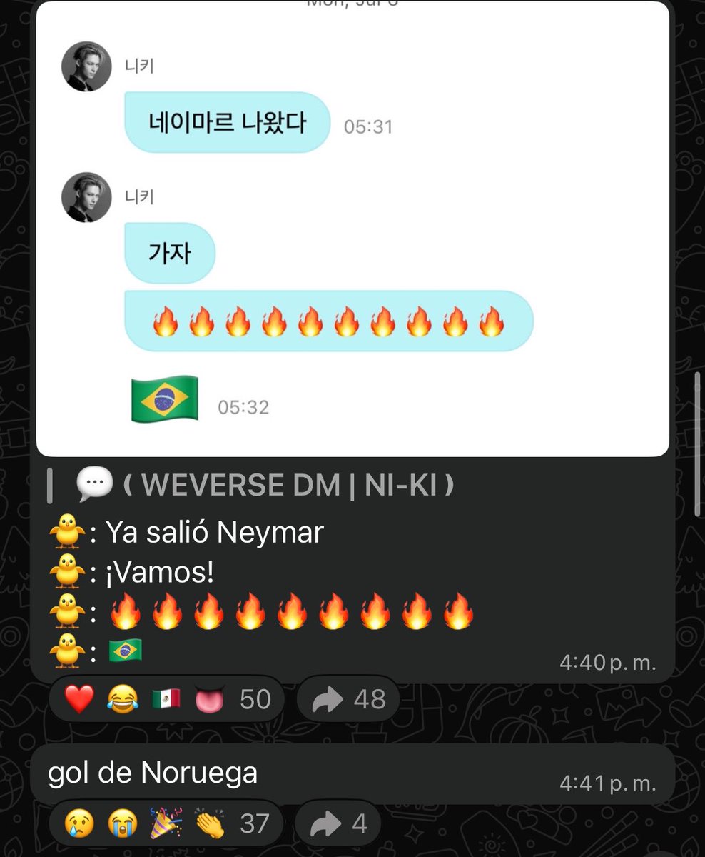 vivilvsjayki's tweet photo. Somos Ni-ki, la sal del mar y yo contra el mundo 💪🏼 https://t.co/XT5LcJo5Cg