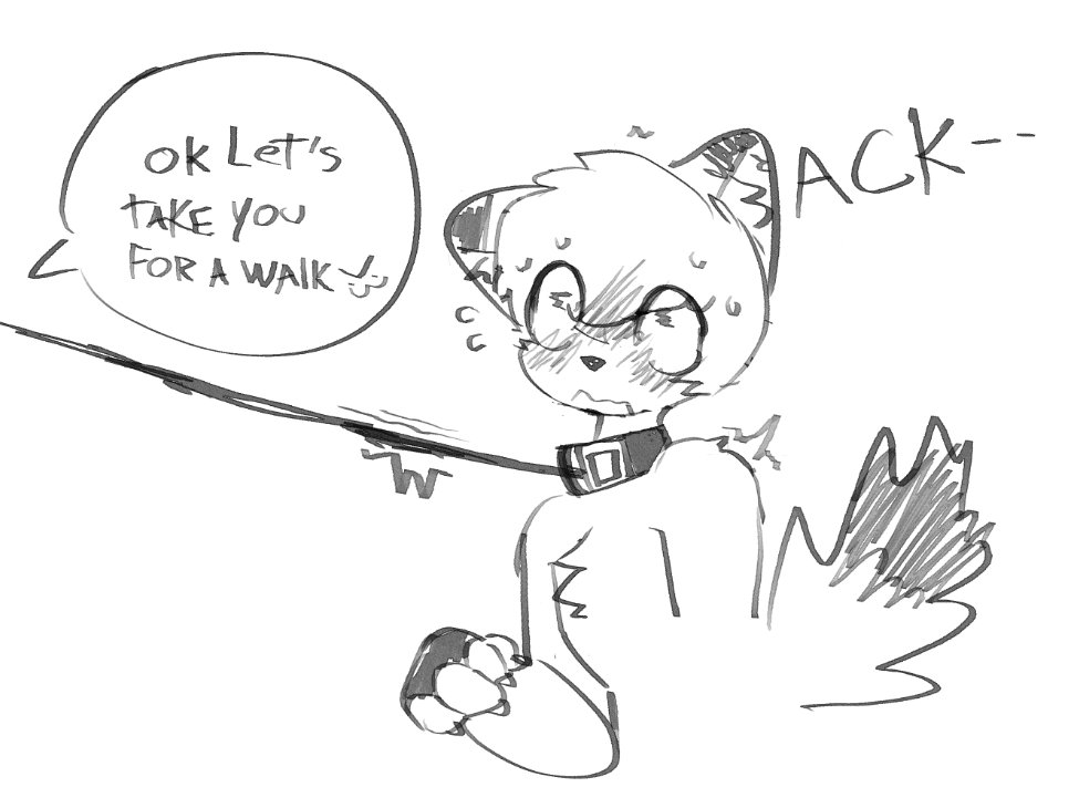 keenomutt's tweet photo. keeno got convinced to try a collar :33 https://t.co/7jNbQzmF6p