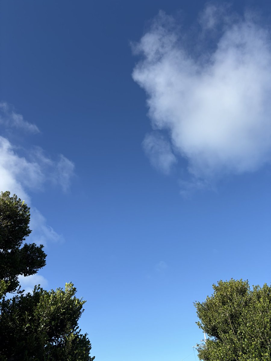 Saato0710's tweet photo. おはよ〜ございます^o^

　　月曜日〜

晴れ〜☀️

既に28℃超え💦
朝から暑い😵

週の始まり…
体調管理万全に♡

今週も元気に頑張って
いきましょッᕦ(ò_óˇ)ᕤ💕

今日も一日✨
笑顔✨で過ごせますように♪

#イマソラ
#本日もご安全に
#オキナワ https://t.co/tEDlhpjdak