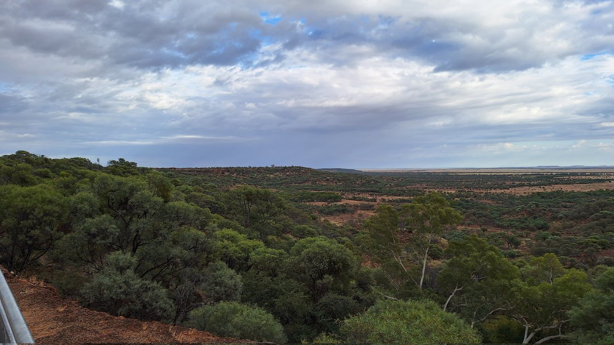 TangaroaG33K's tweet photo. They put a dinosaur museum in a great place with views, and a fly warning. #ageofthedinosaurs #museum #Winton #Queensland #travel https://t.co/DXyJNHN9a0
