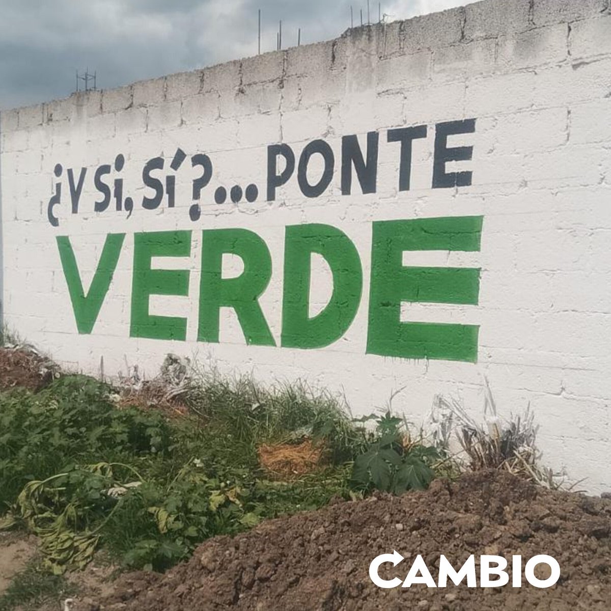 Diario_Cambio's tweet photo. 🟢🇲🇽 “¿Y SI, SÍ?… ¡PONTE VERDE!”

En distintos puntos de la capital poblana, han aparecido bardas con la frase, un mensaje que retoma el eslogan utilizado por la Selección Mexicana y lo combina con el color e identidad gráfica del PVEM

#diariocambio #Puebla @PVEM_Puebla https://t.co/YScZdPZGYi