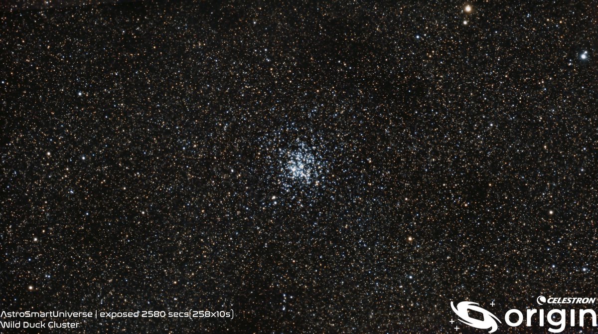 AstroSmartUni's tweet photo. ☄️🔭

📱

Name: Wild Duck Cluster (M11)
Constellation: Scutum
Distance: 6.12 kly
Smart Telescope: Celestron Origin Mark II
Mount: Alt-Azimuth
Bortle Scale: Class 7
Exposure Time: 43 min
Filter: Built-in Filter
Image Processing: Origin App

#M11 #opencluster #celestronorigin https://t.co/RHma1ON8Nh