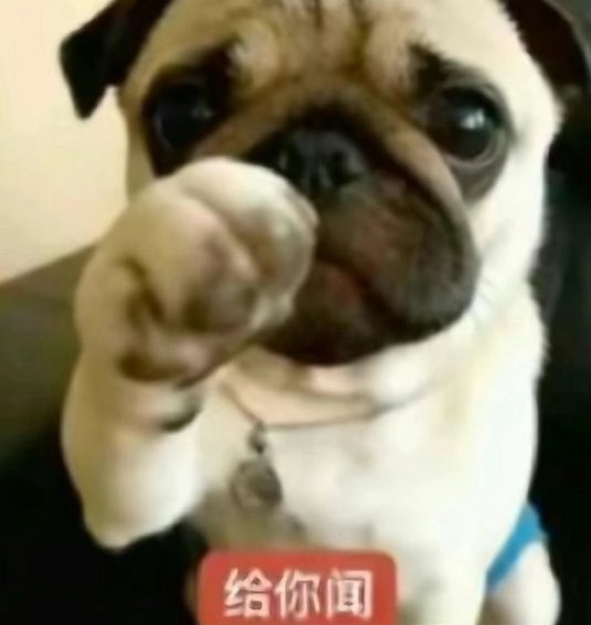 qisnmg's tweet photo. @Friedfish111 https://t.co/MkxtHBXW1v