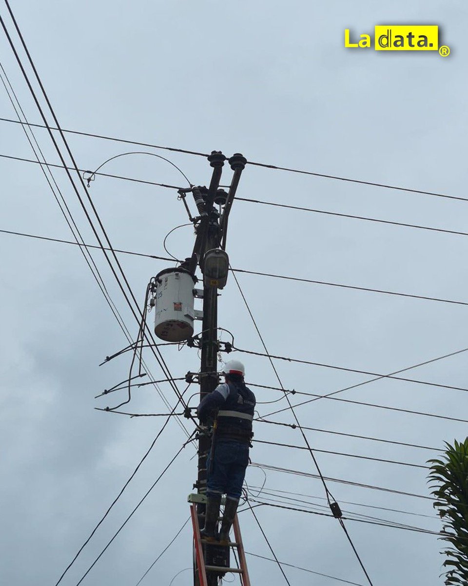 ladataec's tweet photo. #Tendencia Restablecen completamente el servicio eléctrico en Zamora Chinchipe

El Ministerio de Energía confirmó la normalización total del suministro eléctrico en los sectores afectados de la provincia de Zamora Chinchipe. Así lo anunció el ministro Juan Carlos Blum a través de sus redes sociales, destacando que las cuadrillas realizaron trabajos técnicos ininterrumpidos para garantizar la continuidad del servicio y reponer la infraestructura dañada.

Según el funcionario, las labores se desarrollaron sin contratiempos, logrando restablecer el fluido eléctrico en su totalidad. El anuncio se produjo a las 12:08 de este domingo y fue celebrado por usuarios como Miguel Bonifaccini, quien calificó la gestión como "excelente".

Las autoridades no reportaron nuevos incidentes y se mantiene el monitoreo en la zona para prevenir futuras fallas y asegurar la estabilidad del sistema energético en la región sur del país.

@ladataec👈

#LaData #TendenciaPolítica #Zamora #Energia