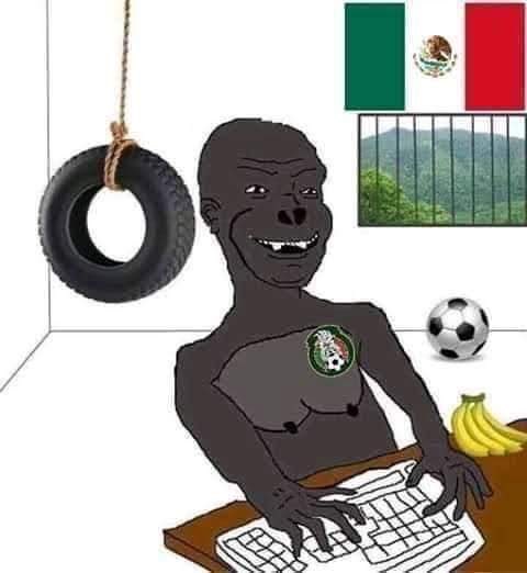 FabriRamone's tweet photo. @fcbm885 La especie mexicana: https://t.co/e6mekC5A1N