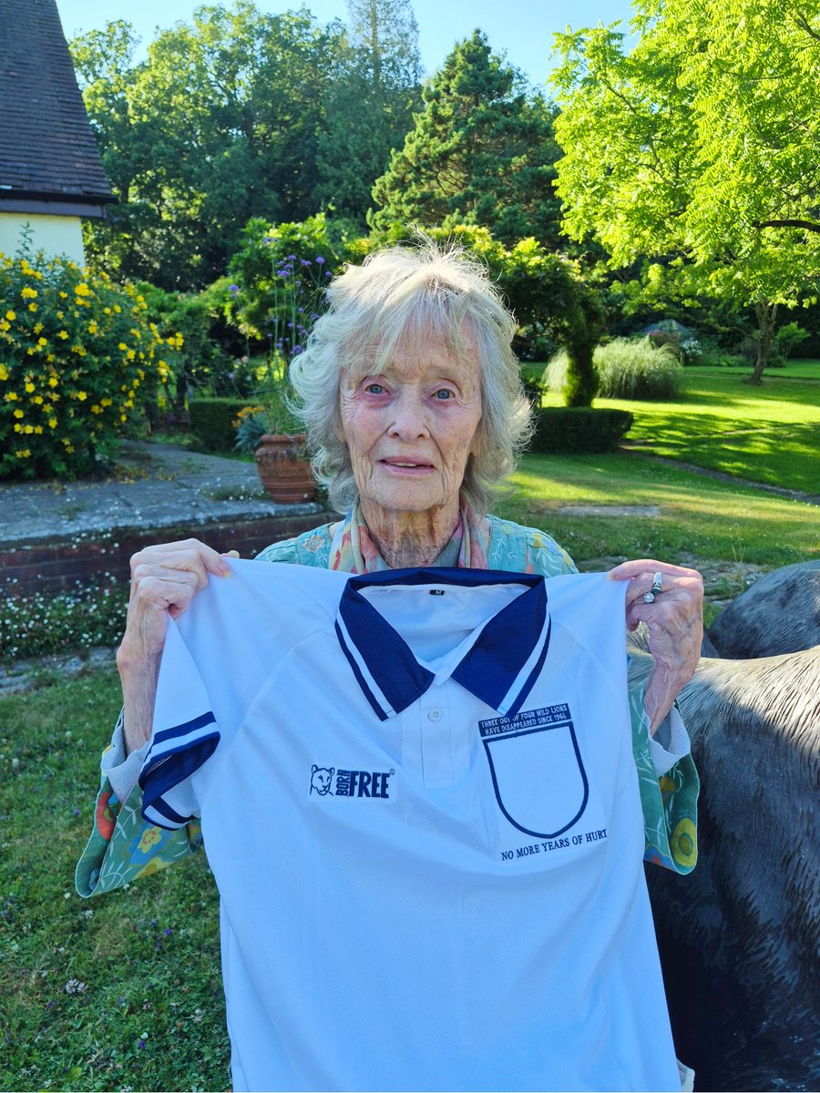 BornFreeFDN's tweet photo. Notice something missing from these shirts modelled by our Co-Founders Dame Virginia McKenna &amp; @willtravers? 👀

Shockingly, since England’s 1966 World Cup win, 3 out of 4 wild lions have vanished.

🦁 Help us keep the roars alive. 

Support Born Free at https://t.co/tFOqnrcM46 https://t.co/SE2nzYmyDM