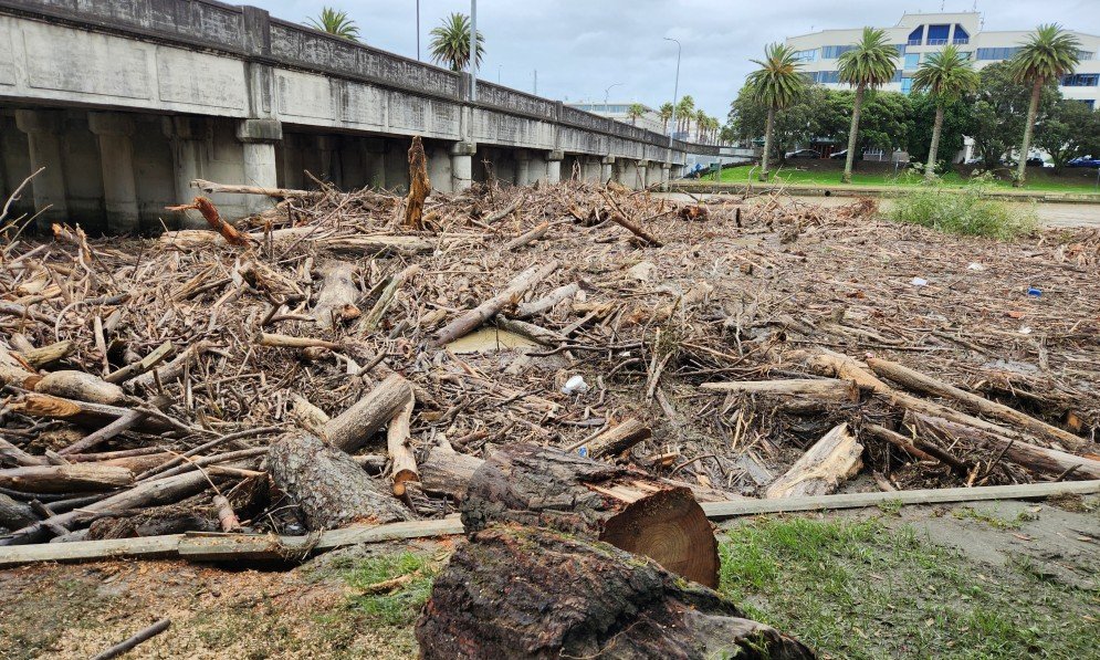 plebnz's tweet photo. @dbseymour 
@actparty
Believes the people responsible for forestry slash damage through mismanagement should not be held accountable. He wants  to protect foriegn investors over average kiwis.  Thanks Epsom.  #nzpol https://t.co/0tag5A6Wxi