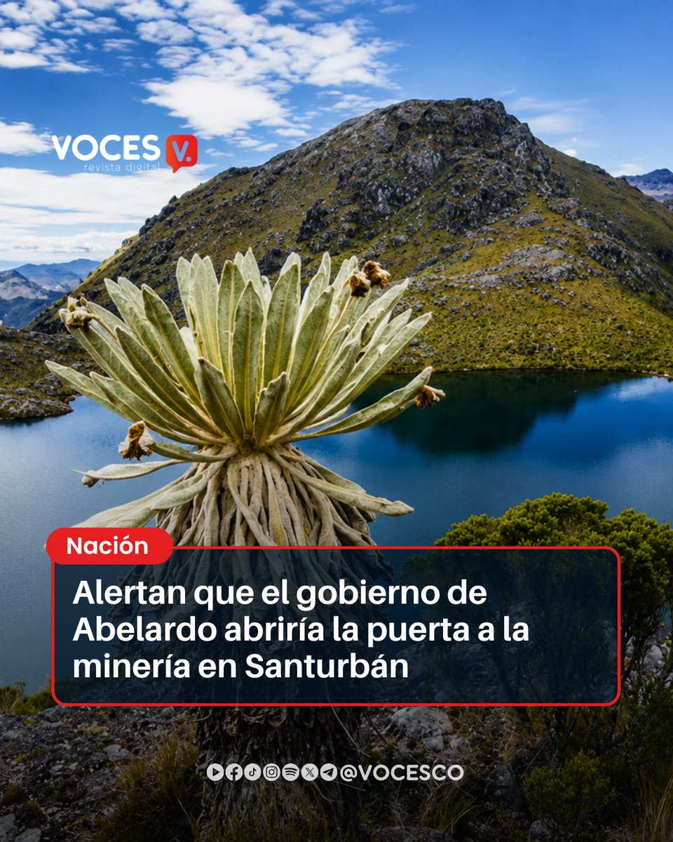 vocesco's tweet photo. #Voces | El Comité para la Defensa del Páramo de Santurbán (@ComiteSanturban) lanzó una alerta ante la posibilidad de que el gobierno entrante del presidente electo Abelardo de la Espriella respalde un proyecto de explotación minera en el páramo de Santurbán, operado por la empresa Aris Mining (antes Minesa).

Según el Comité, cualquier proyecto minero ubicado por encima de las bocatomas del acueducto de Bucaramanga pondría en riesgo el abastecimiento de agua para más de dos millones de personas. La organización sostiene que diversos estudios técnicos han concluido que este tipo de iniciativas son inviables en esa zona.

Ante este escenario, el Comité anunció que impulsará movilizaciones pacíficas y acciones jurídicas para impedir el avance de proyectos mineros en el páramo.