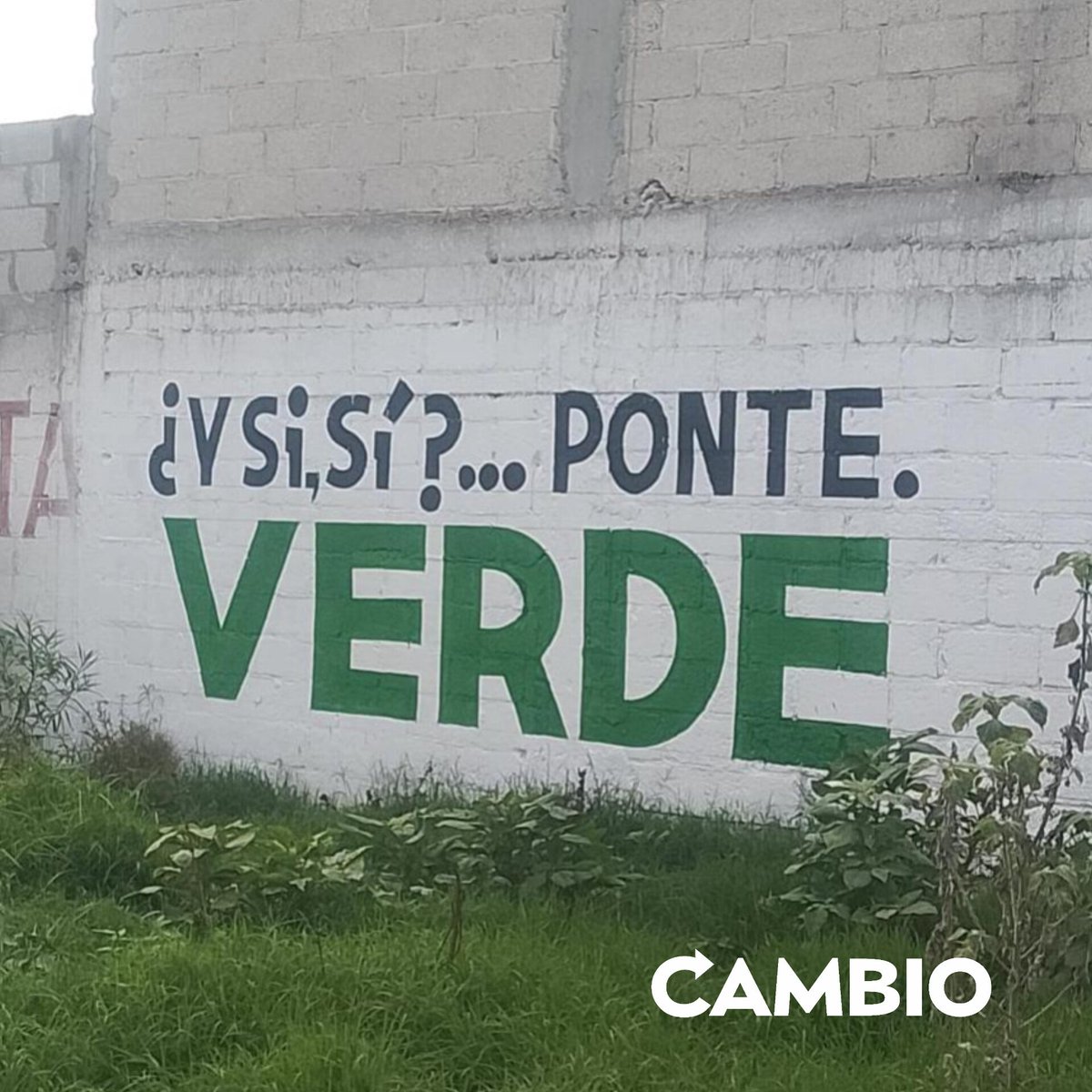 Diario_Cambio's tweet photo. 🟢🇲🇽 “¿Y SI, SÍ?… ¡PONTE VERDE!”

En distintos puntos de la capital poblana, han aparecido bardas con la frase, un mensaje que retoma el eslogan utilizado por la Selección Mexicana y lo combina con el color e identidad gráfica del PVEM

#diariocambio #Puebla @PVEM_Puebla https://t.co/YScZdPZGYi