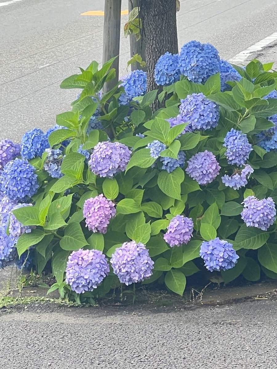aNZOSBdLm6BFRyh's tweet photo. おはようございます😊

７月６日　月曜日　☔️

また，一週間が始まりますね

頑張っていきましょうね

今週も何とか乗り切りましょう👍

よろしくお願いします🙏 https://t.co/nRSL0X6Xy2