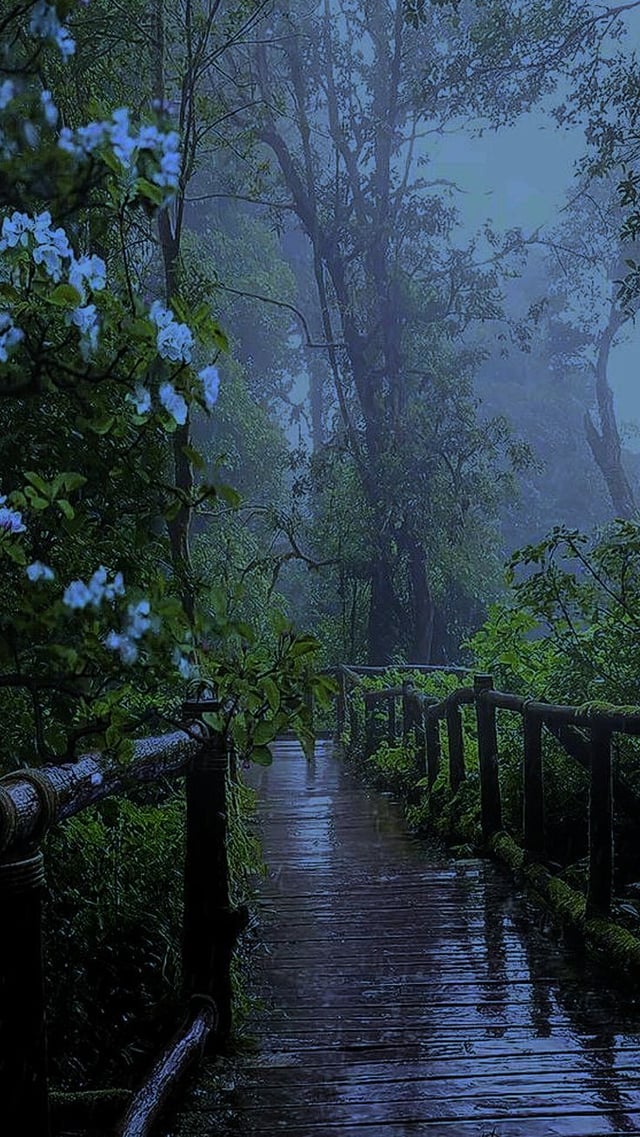 Topten500's tweet photo. You go for a walk to clear your head, Which path do you choose? https://t.co/W5K7foGus9