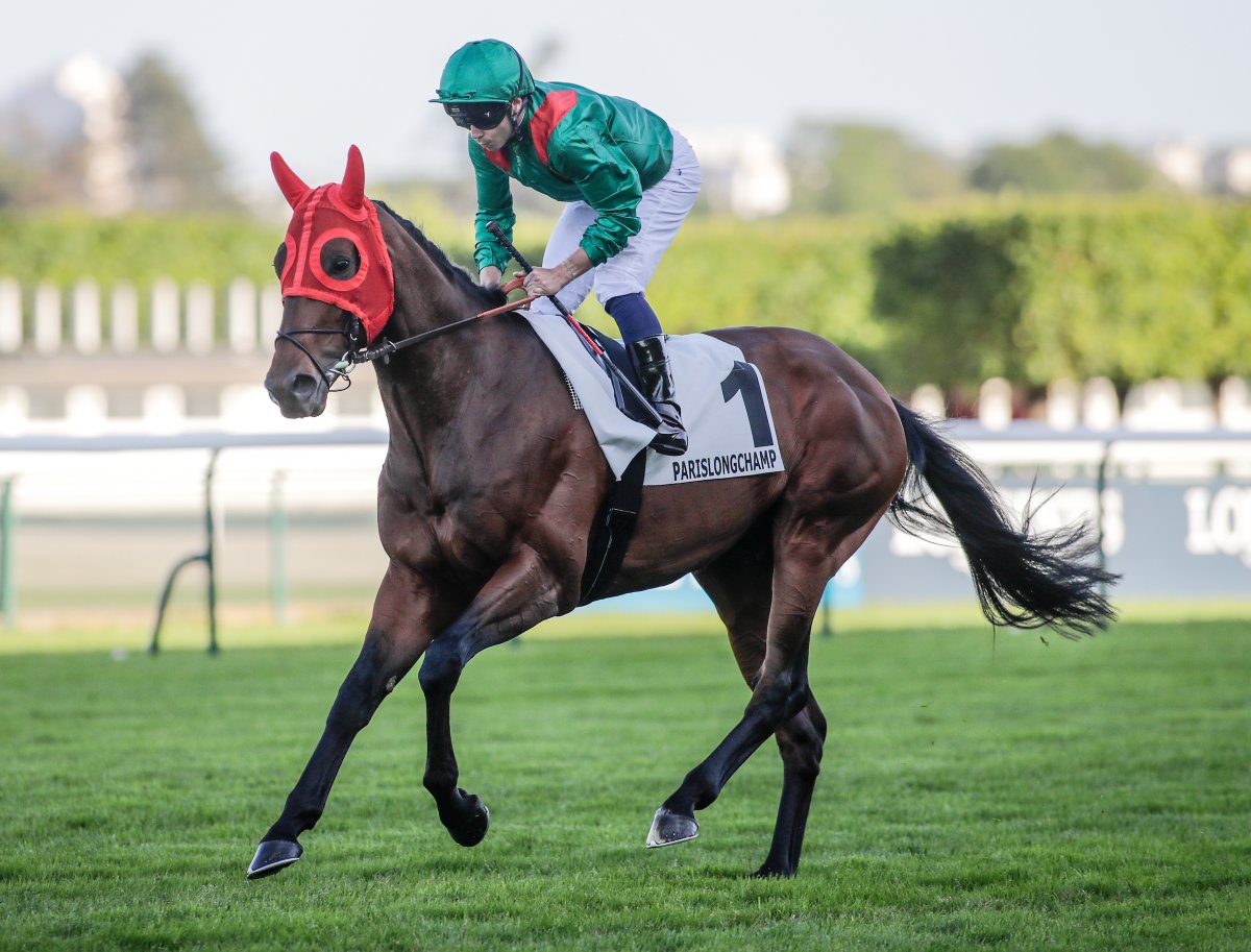 RacingTV's tweet photo. Daryz is unlikely to run again before September after returning unsatisfactory blood test results in the wake of his defeat at Royal Ascot 

➡️ https://t.co/PRs7j8cKy1 https://t.co/OZpi54ktQN