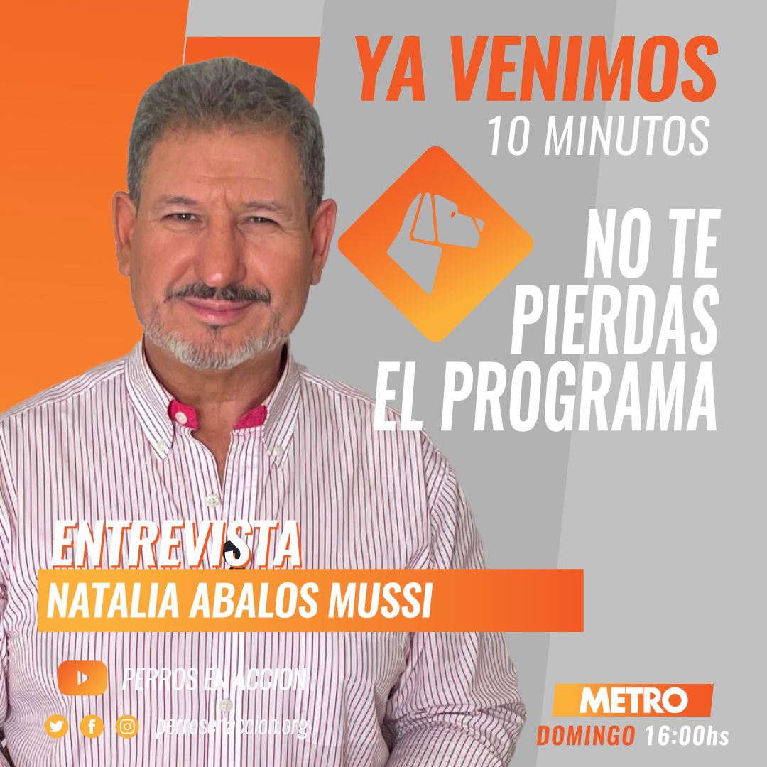 Perros_EnAccion's tweet photo. Ya venimos con @Perros_EnAccion TV, en 10 minutos por METRO!!!
ENTREVISTA
Natalia Abalos Mussi
#PerrosEnAcción
#AlejandroMurzone
#Perros
#Exposiciones
#ProgramaDeTV
#Metro
#NataliaAbalosMussi
#Shalaco
#Maltés
#CanicheToy
Más Perros en acción en https://t.co/ZzZHvsTfds https://t.co/EYk5evvJJN