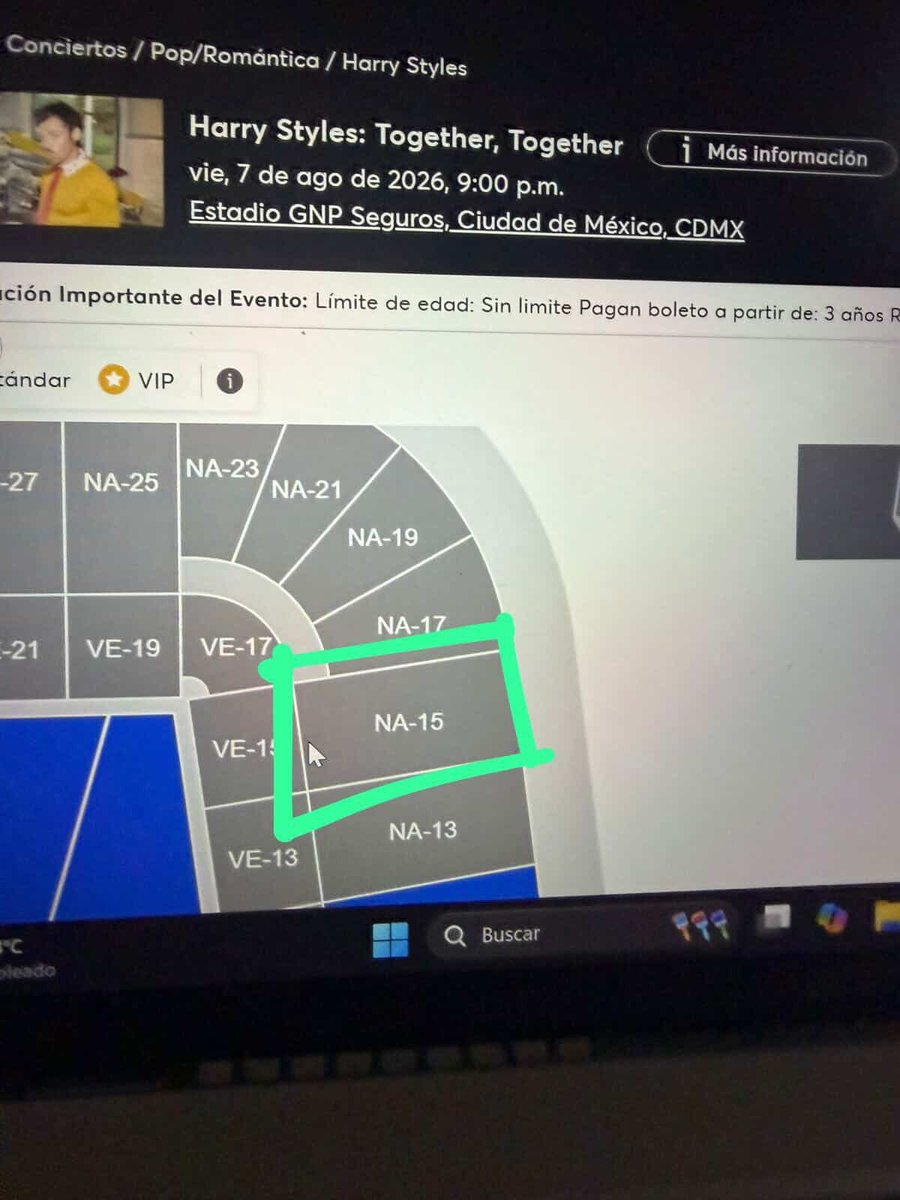 mariannt91's tweet photo. hola!! vendo mi boletito para harry el día 7 con todo el dolor de mi corazón ;(((, si saben de alguien q esté buscando yo se los dejo más barato, solo necesito venderlo ya !! https://t.co/MnFJ0Nvg1Y