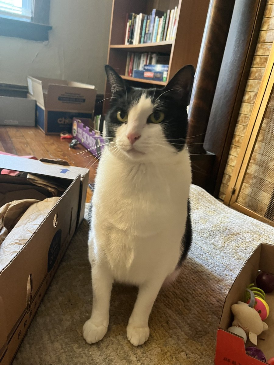 petey 💖 tweet media