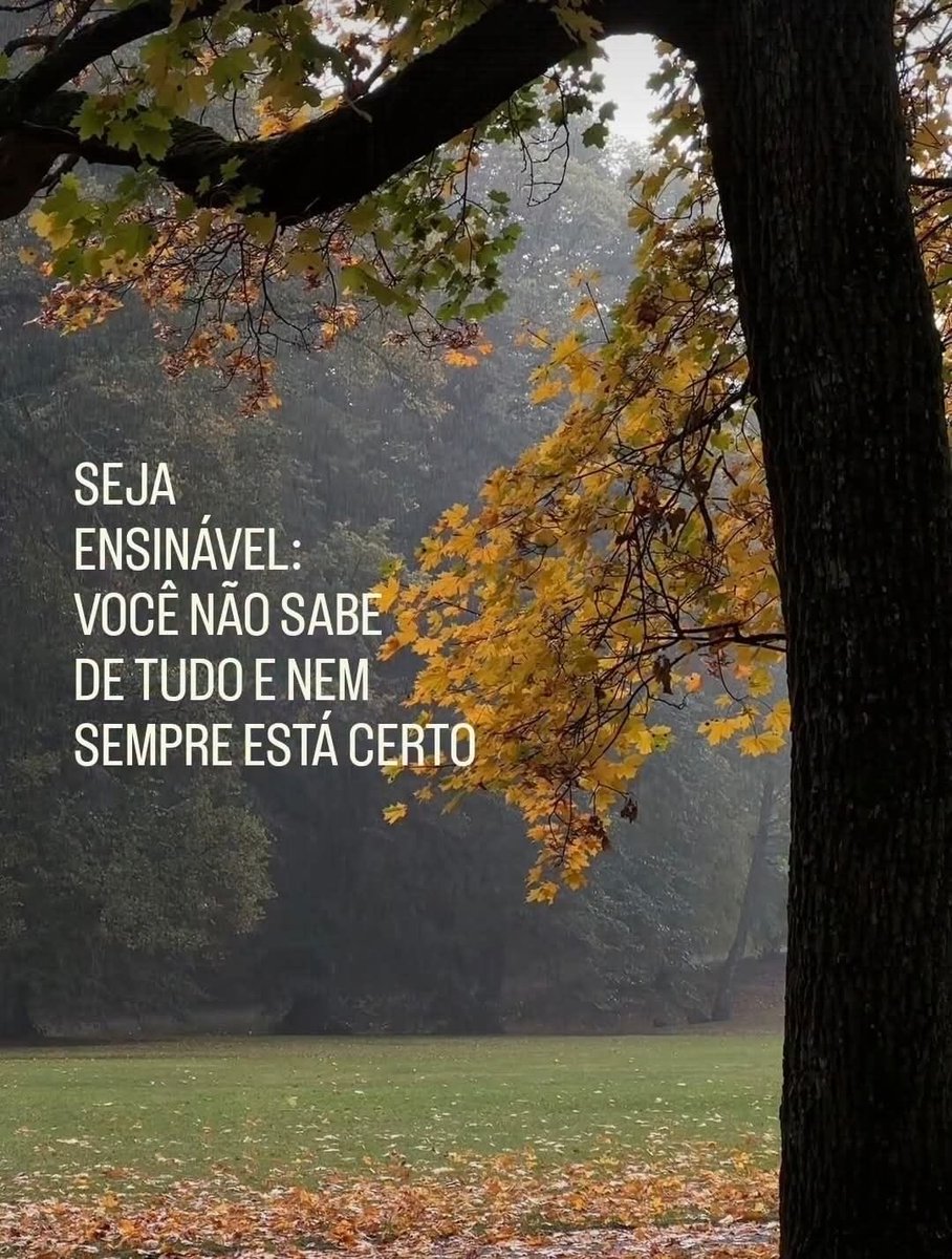 souderecitar's tweet photo. https://t.co/UXPWyAMupf