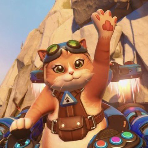 jetpackcatt's tweet photo. meowwww meow meow!!!! 😼🐾 https://t.co/syfSWVmjem