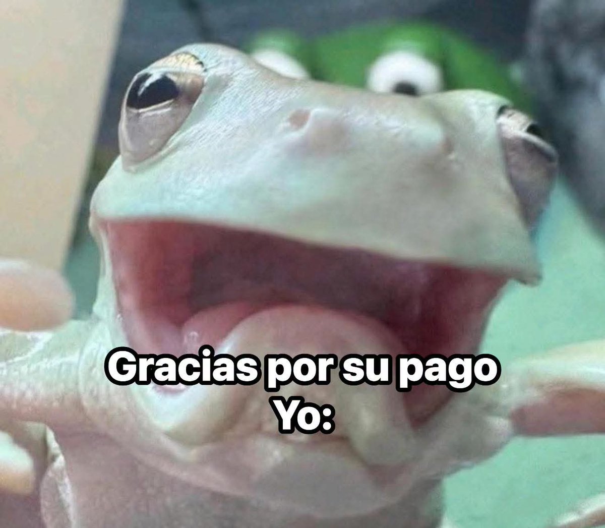 Animalesaprieto's tweet photo. https://t.co/fZiKMgjvvg