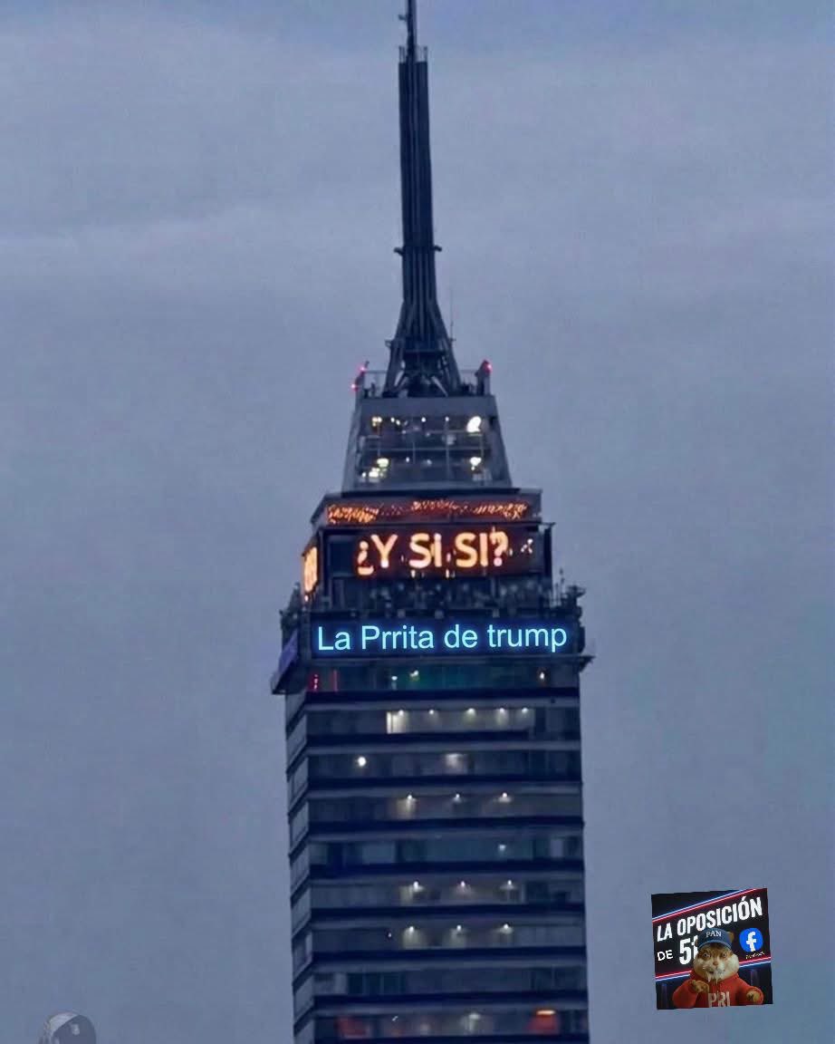 chikis6377's tweet photo. Síííí.....#LaPerritaDeTrump https://t.co/WgSN5brUjh