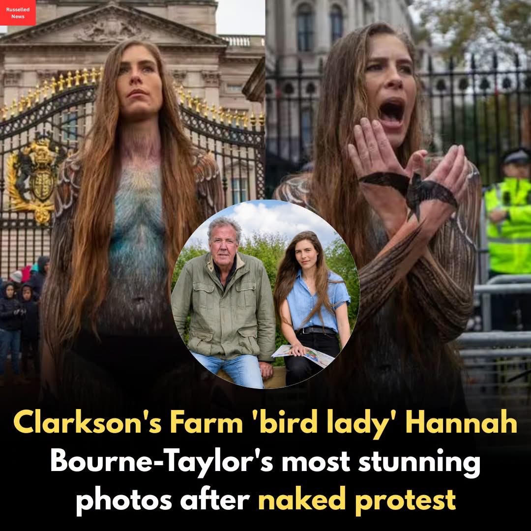ClarksonsFarm tweet media