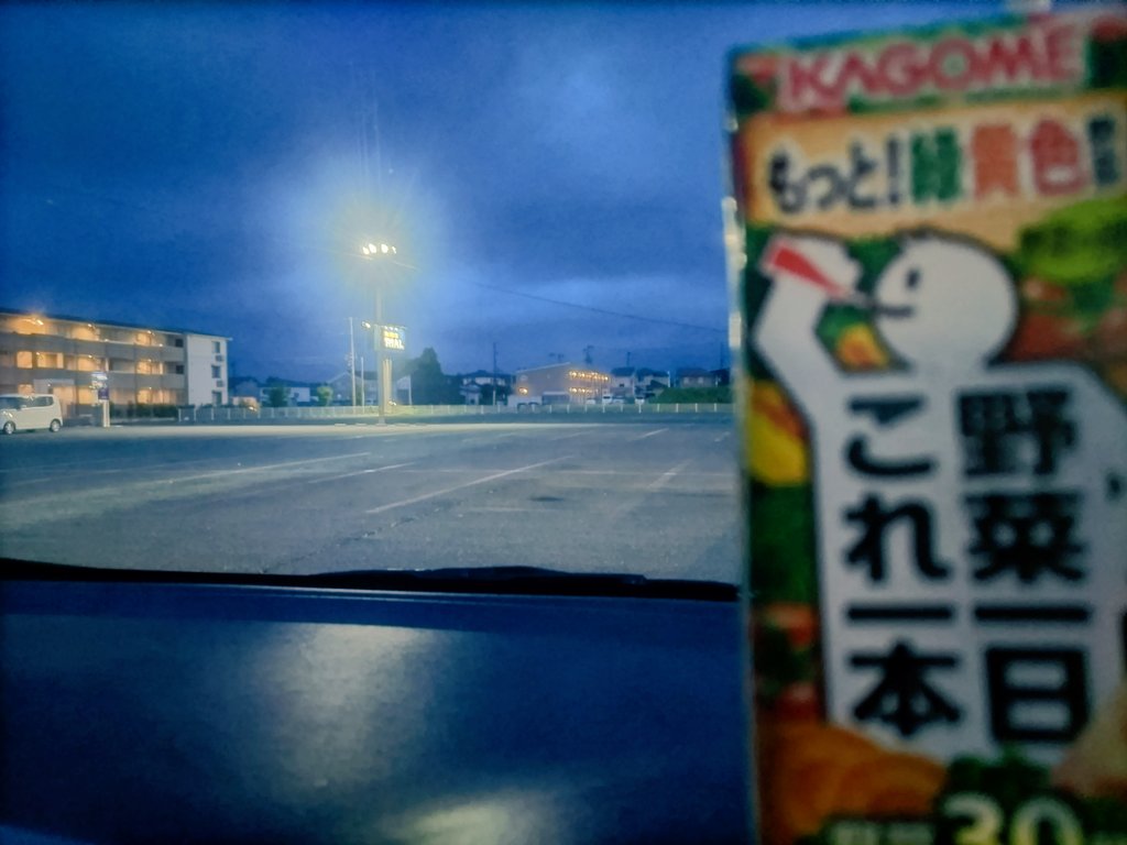 結局今日のお買い物終了(￣▽￣;) 野菜ジュースを飲んでおけば健康に