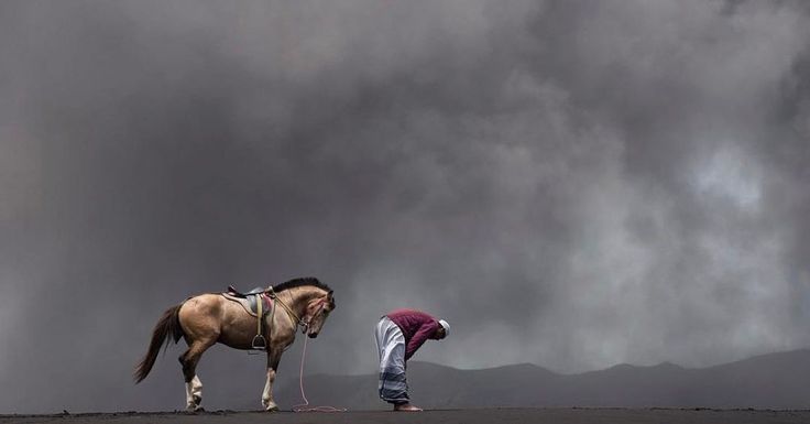 GhzIiat's tweet photo. "تقول العرب : 
لا تُصاحِبْ إلَّا مَن له دِينٌ يَردَعُه، أو عقلٌ يَمنعُه، أو مروءةٌ ترفعُه." https://t.co/MRX9yKcjmp