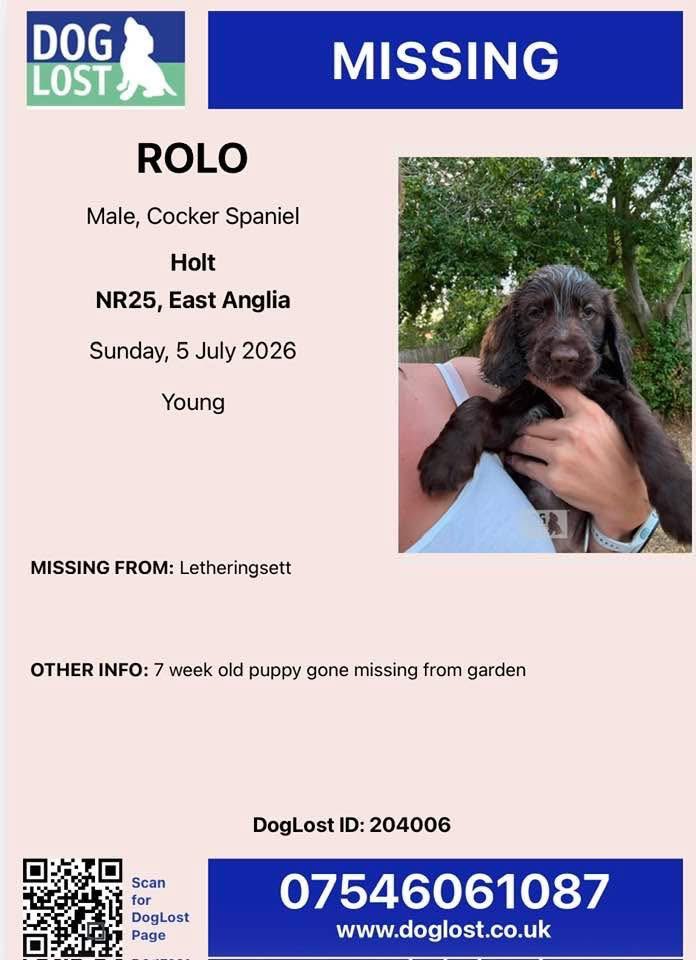 rosiedoc666's tweet photo. #StolenDogHour 
🆘 

Rolo is missing from #Letheringsett, #Norfolk, #NR25, he went missing on the 5th of July 26 (7wks old) 

https://t.co/fjGs2AQip5

@DoglostNSC @BBCNorfolk @NorfolkNews @BryantDjbryant @BitofDecorum @BrendaBlethyn @Jan_Leeming @JacquiSaid @millypod1 https://t.co/4MstMlvDlf