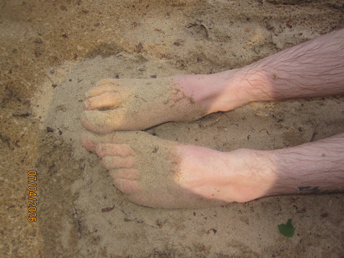 liveleakpet's tweet photo. dœs anybody like beach feet pics https://t.co/Kk7s53rTZc