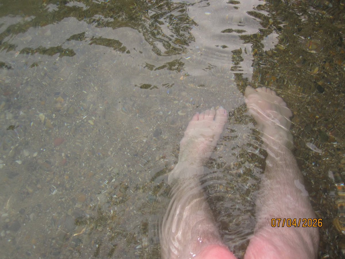 liveleakpet's tweet photo. dœs anybody like beach feet pics https://t.co/Kk7s53rTZc