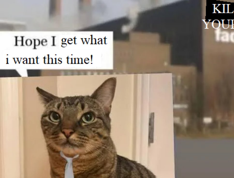 literallymecats's tweet photo. https://t.co/r86ufdi5yI