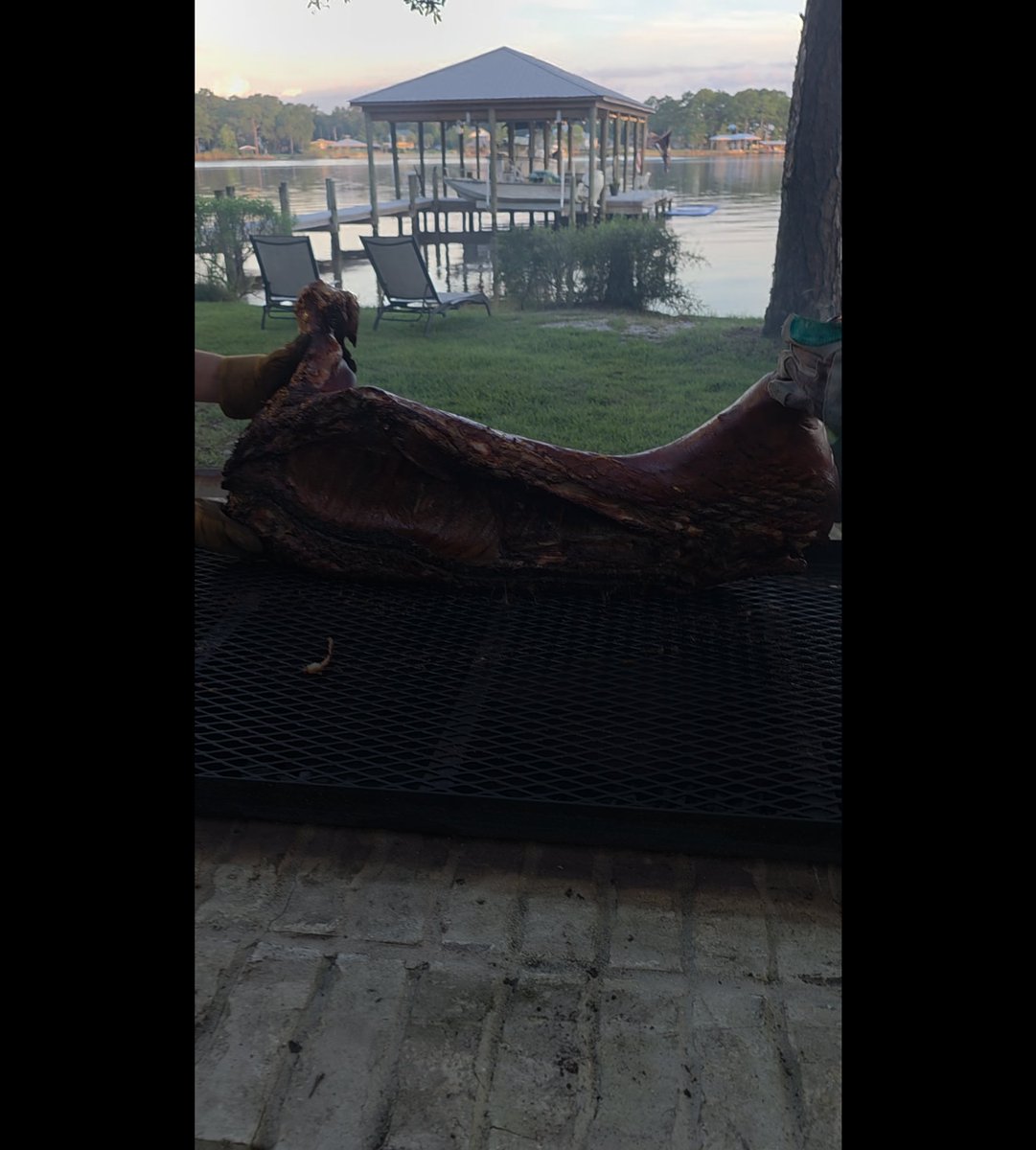 zotzer's tweet photo. It was an awesome 4th on our little bayou. Happy 250th, America!  🇺🇸❤️🇺🇸 https://t.co/qcww4I0rQS