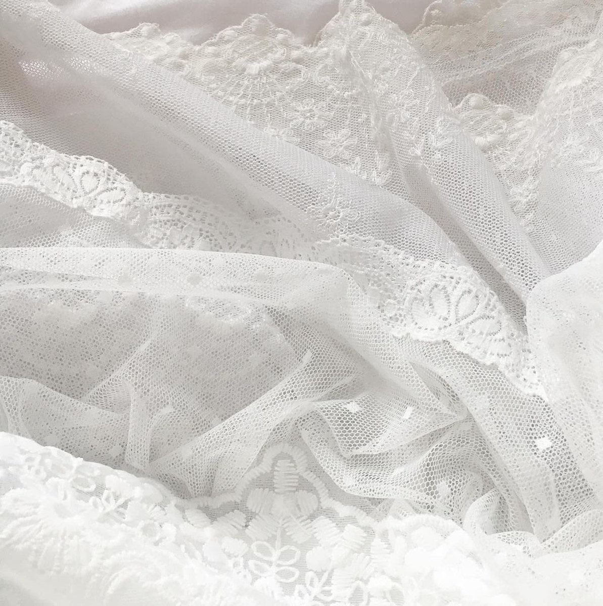 _mourningdov3's tweet photo. ˗ˏˋ  dove's #edtwt intro ! !  ˎˊ˗

౨ৎ  arfid/mia  ᝰ.ᐟ  sapphic  ⚢ ₊˚
🕊️ 20  ⋆˚꩜｡  she/her  ꕀ  155 cm  ౨ৎ
ᯓ cw 58kg , gw 50kg , ugw 44kg.ᐟ.ᐟ.ᐟ
꒰ dni: fatphobes, non-shedtwt ꒱

↻  /  ♥︎  to  be  moots  .ᐟ

#moothunt  #edrtwt #anatwt #promotwt #ricecaketwt https://t.co/zOcXQlUEw7