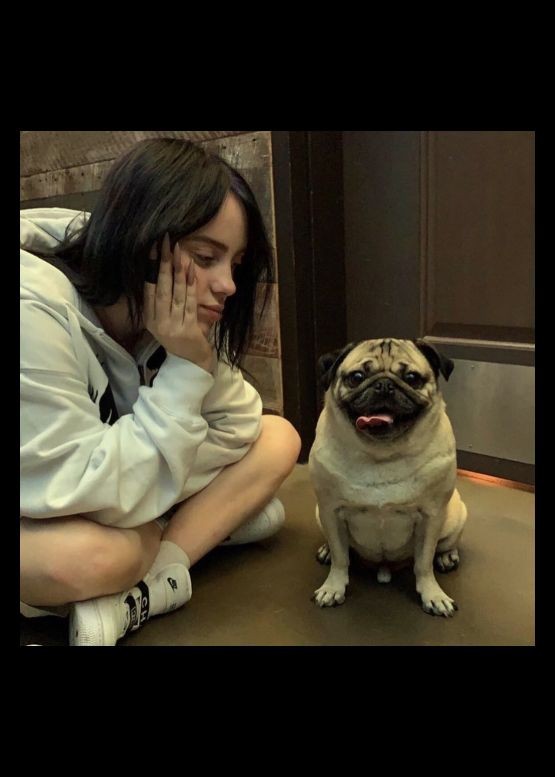 SandraFColiny's tweet photo. Watching animals chase and play in the zoo makes people feel the pure vitality of life and dispel inner depression and tiredness.🐞
Be humble when you achieve success. https://t.co/tQvV2uvfmC
