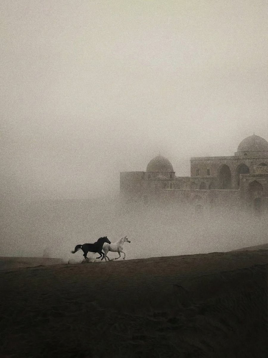 3oi88's tweet photo. شاءت الأقدار والدنيا .. منافي
أبحرت بقلوب اهلها واغرقتها

المعافا لو فقد طعم العوافي
عـاف لذات الحياه ومعرفتها

والعويق تضيقبه جرد الفيافي
لو يمد الشوف رجله مامشتها

حكمة الي يعلم بكل الخوافي
عالمٍ مافوق الارض وماتحتها

ربي ارحم حالتي قبل انصرافي
قبل لا دنياي تعلن .. خاتمتها

ليت نفسي تكتفي لاقلت كافي
عن مشاويرٍ ماتحمد عاقبتها

الاوادم ماصفت والجو صافي
كيف لابان الردى في معاملتها

حتى نديمة ليلي وسر اختلافي
انكرت كل الوعود الي عطتها

عرضتني لـ القصيد ولـ القوافي
والقوافي لو نستني .. ما نستها

العيوف الي تذرت .. بـ السنافي
تدري ان اربع جهاته من جهتها

قبلها دنياي ماخلت .. ( مرافي )
واشرقت من غير شمس ونورتها

اقبلت مثل النهر واروت ضفافي
وادبرت بعد الحياه الي .. بنتها

ماحسبت حسابنا صد وتجافي
لين صرت اول قتيل بمملكتها

ماوفت لي مير انا مبداي وافي
قالو اقفت قلت الايام  جبرتها