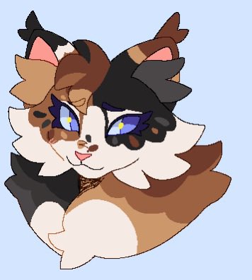 foxii 🌈 tweet media